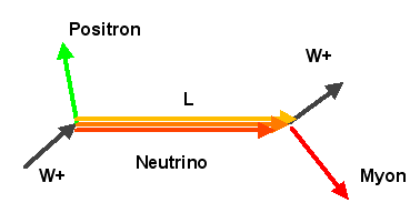 Neutrino-Oszillation